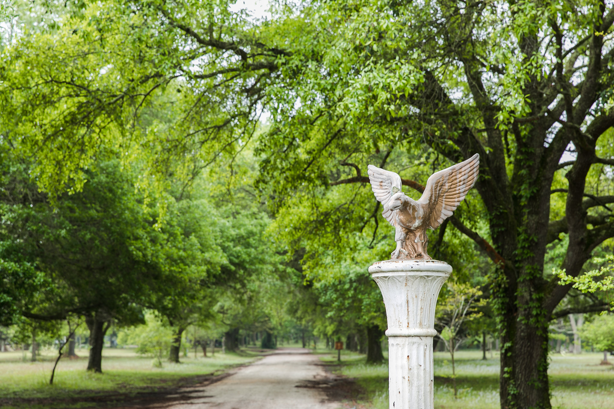 A white sculpture of a bird with wings spread, mounted on a white pedestal, in a green park with trees and a dirt pathway in the background.